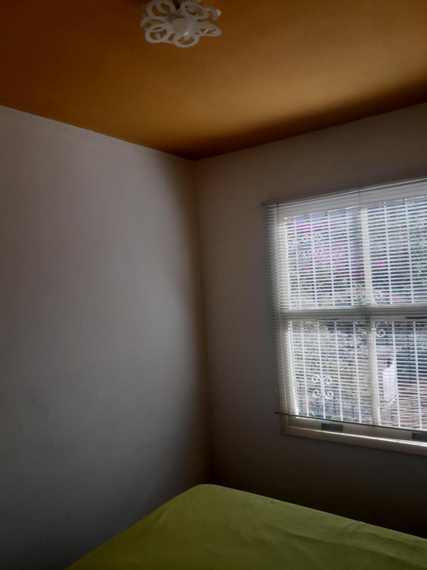 Flat Muqui 91 Otel Teresópolis Dış mekan fotoğraf